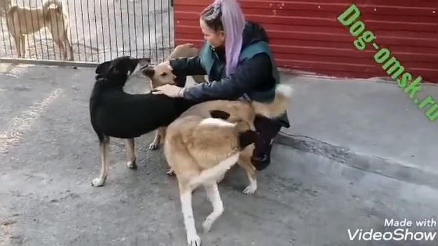 Они такие разные, но каждый мечтает об одном... смотреть онлайн