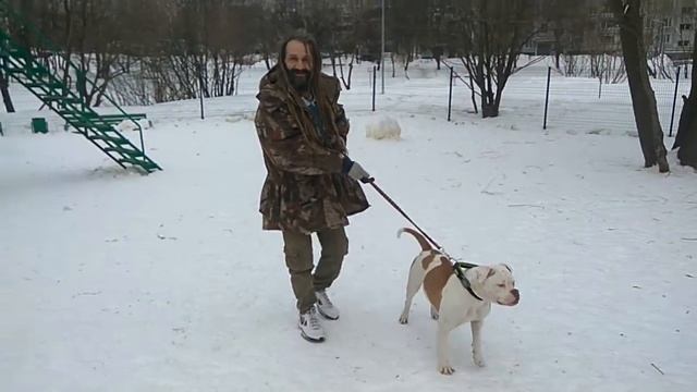 Привет из Москвы. 1(14) марта 2018 смотреть онлайн