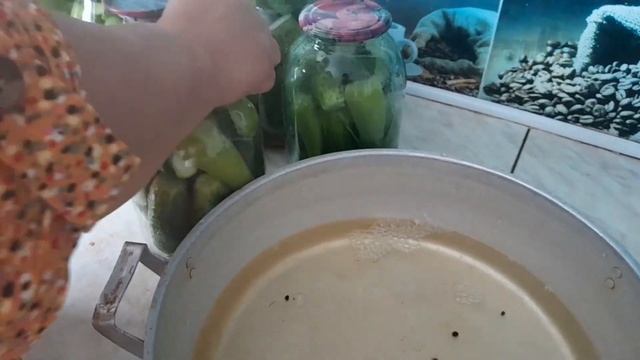 ҚЫСТЫҚ ҚИЯР ЖАБАМЫЗ.ҚЫТЫРЛАҚ ҚИЯР.ҚАЗАҚША РЕЦЕПТҚыстық қияр жабу смотреть онлайн