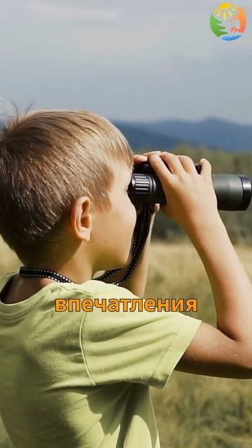 О Kidsincamp.ru смотреть онлайн