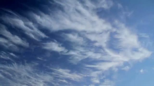 Eftos Leserpreis die letzte Krise 534 смотреть онлайн