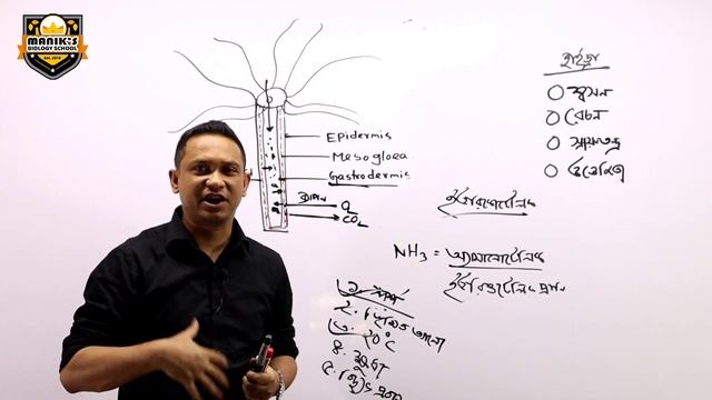 Hydra lecture-10 || Respiration, Excretion, Irritability, Nervous System of Hydra || Maniks Biology смотреть онлайн