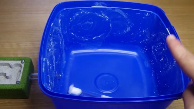 Introducing a Small Colony to our Ants Australia Formacarium смотреть онлайн