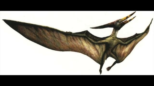Pteranodon Sound Effects смотреть онлайн