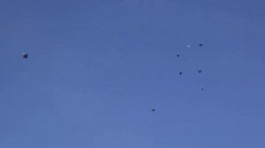 Высоколётные голуби Иловайска