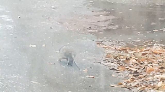 И кто же это??? ))) смотреть онлайн