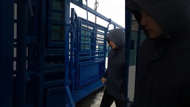 Фиксатор крс, раскол крс, станок для крс