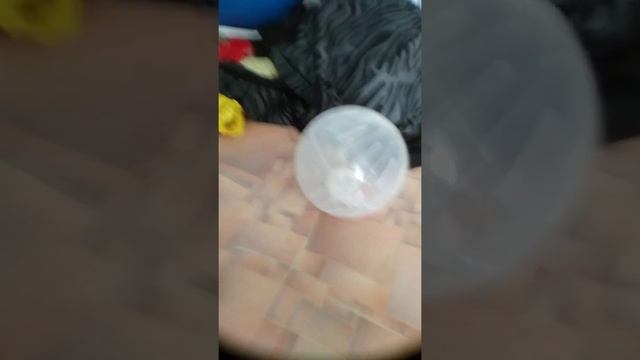 я хотел зделоть видео про хомяка в шарике но увидите што пошло нетак смотреть онлайн