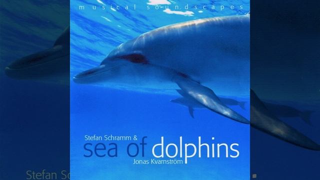 Dance of the Dolphin смотреть онлайн
