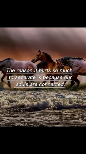#quotes #shorts #youtubeshorts смотреть онлайн