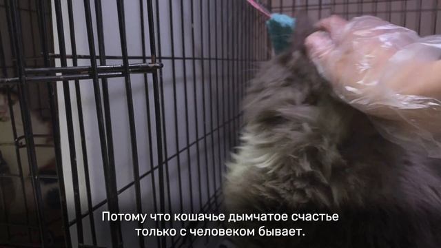 АФАНАСИЙ смотреть онлайн