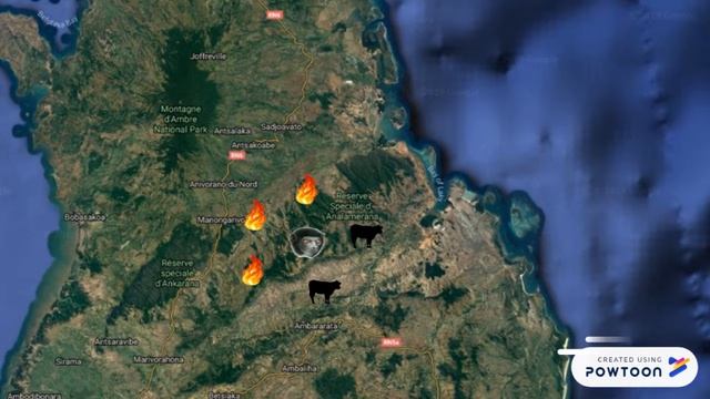 Sifaka Conservation Project смотреть онлайн