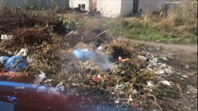 Палиш листя – отримаєш штраф смотреть онлайн