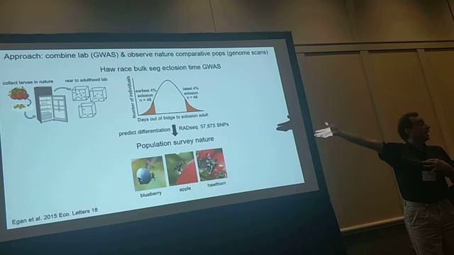 Feder: How predictable is the genomics of diapause life history adaptation in Rhagoletis flies? смотреть онлайн