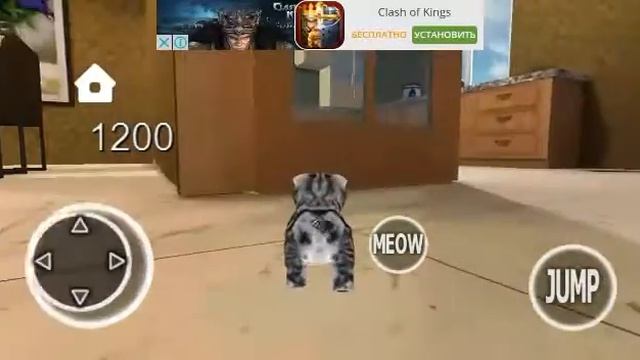 Играю в Kitten Cat Simulator 3D