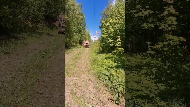 VID_20240524_164923 смотреть онлайн