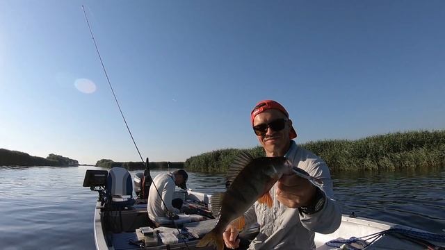 Pescuit la biban in Delta Dunării. Năluci prinzătoare смотреть онлайн