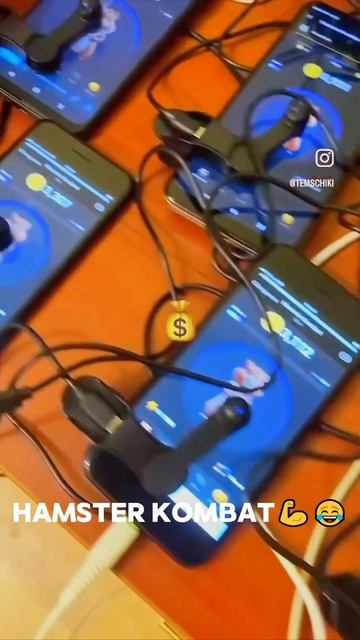 Получай Новые Комбо у Нас в Телеграмм Канале🔥 #hamsterkombat #хомяк #hamstercombo #хомяккомбо #комб смотреть онлайн