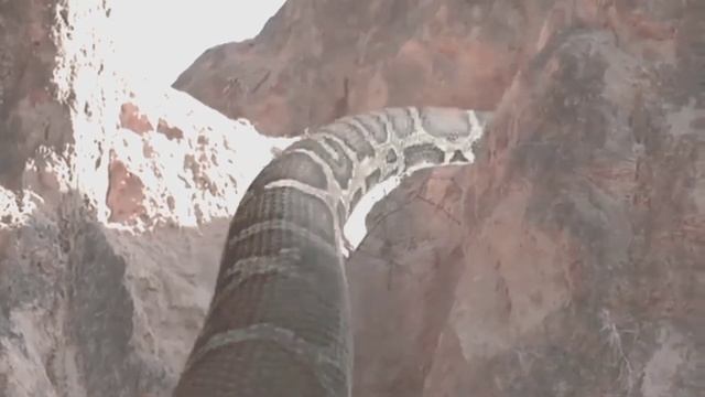 THE MOST-ANACONDA SNAKE ll BIG PYTHON ll JUNGLE VIDEO 2023 смотреть онлайн