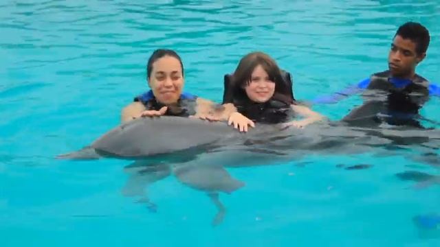 Nado con Delfines en Waterland - Isla de Margarita смотреть онлайн