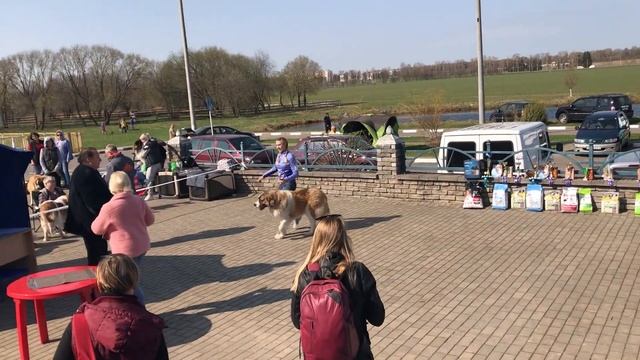 кюниоры смотреть онлайн