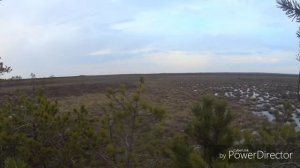 Весенняя охота на гуся 2019