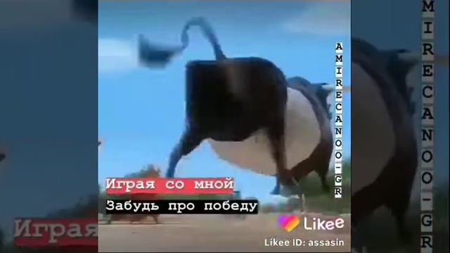 Ахаха быки быки смотреть онлайн