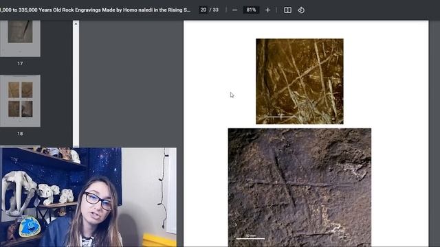 Did Homo naledi make ART? | Preliminary Thoughts смотреть онлайн