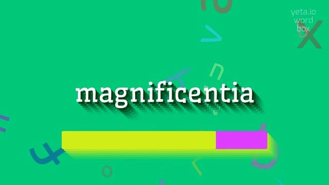 MAGNIFICENTIA - HOW TO PRONOUNCE IT? #magnificentia смотреть онлайн