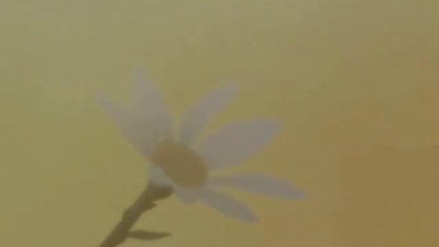 ARO ANIME смотреть онлайн