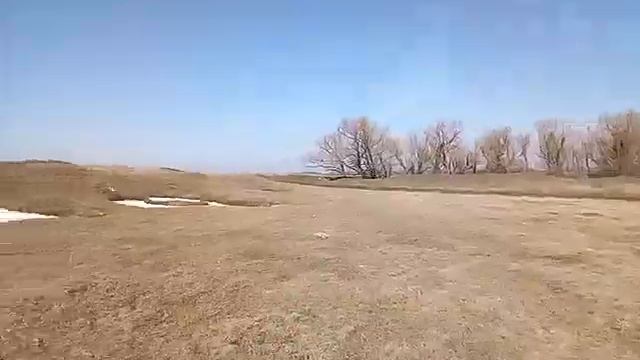 Охота с пневматикой мр512 #2 смотреть онлайн