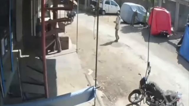 Kung Fu макаки смотреть онлайн