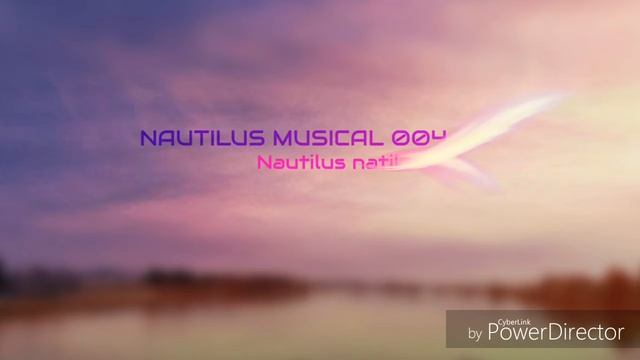 NAUTILUS MUSICAL /TECHNO 005 смотреть онлайн
