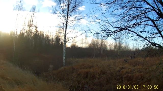 В поисках волчьих троп и переходов.(Часть 1). смотреть онлайн