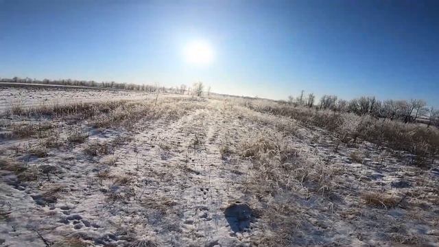 ОХОТА НА ЗАЙЦА 2019! Охота на лисиц. Первая охота по снегу. Тропление зайца! смотреть онлайн