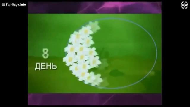 Курс Молодого Бойца день первый 2 часть смотреть онлайн
