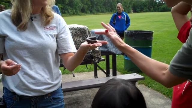 African Giant Millipede смотреть онлайн