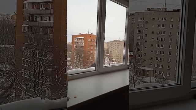 Галку никому не жалко смотреть онлайн