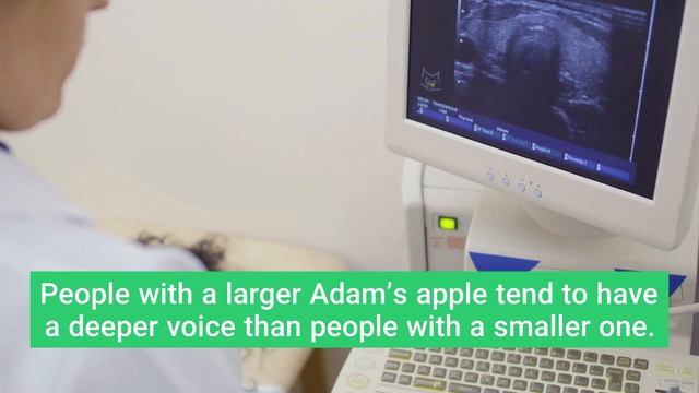 Do Women Have Adams Apple? Everything You Should Know смотреть онлайн