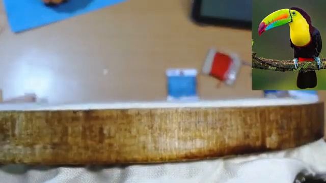 Bordando un tucan (2) смотреть онлайн