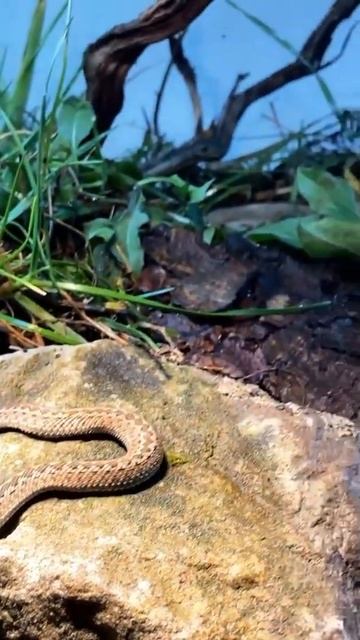 17 января 2022 г. смотреть онлайн