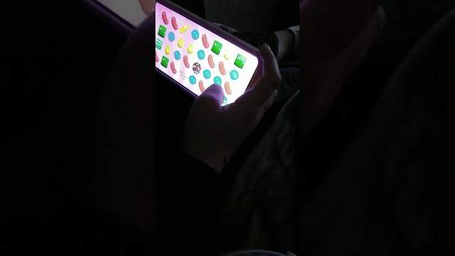 злим бобра смотреть онлайн