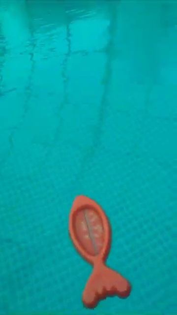 Комплекс отдыха под куполом своими руками в Сибири/ Вода +30 в 21.00 час. А на улице ветер смотреть онлайн