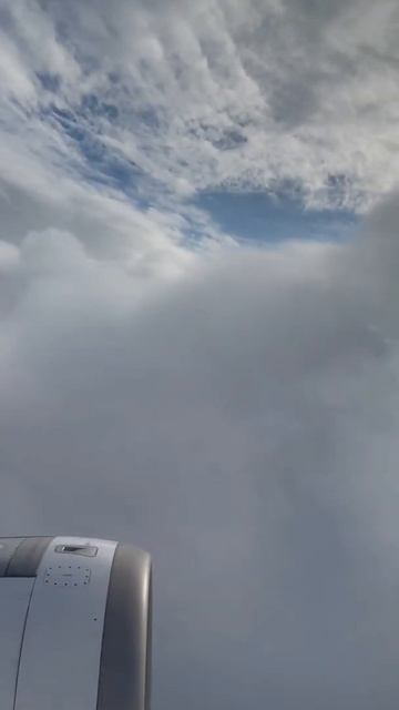 Copenhagen 🇩🇰 | Heading to Turkey 🇹🇷 | Pegasus airlines a320neo смотреть онлайн