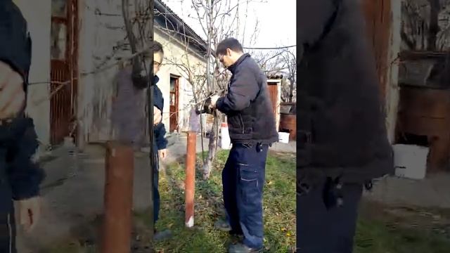 Минобацач смотреть онлайн