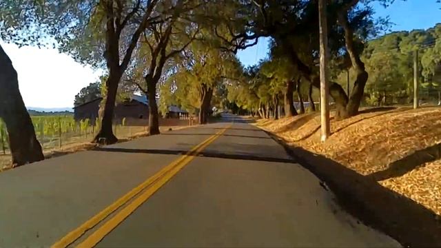 Ride through Sonoma County vineyards at late afternoon "golden hour" on a Vespa. смотреть онлайн