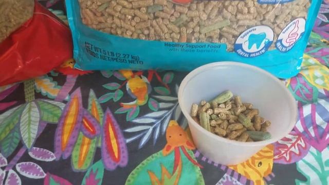 COMPARING OXBOW AND KAYTEE BRAND GUINEA PIG FOOD. THEY LOVE BOTH! смотреть онлайн