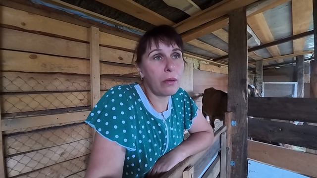 Решили с Лидой всех порадовать Купили разных роллов и 4 пиццы 🔥 смотреть онлайн