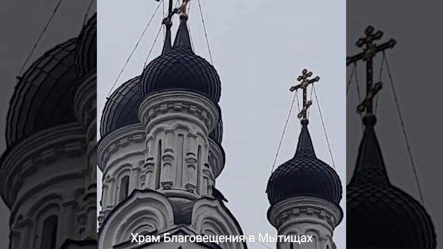 Вороны и коты облюбовали храм #travel смотреть онлайн