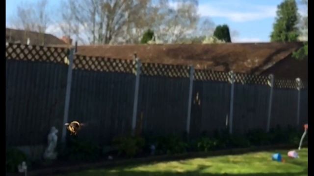 Hover fly смотреть онлайн